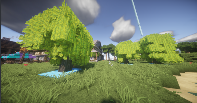 File:Willow.png