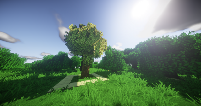 File:Yew.png