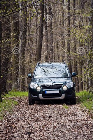 Datei:Auto auf Waldweg.jpg