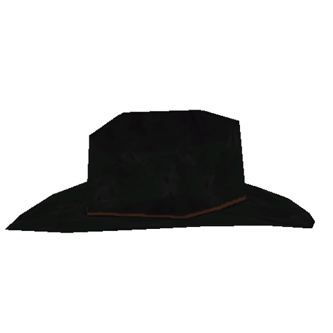 File:136 item CowboyHat.png