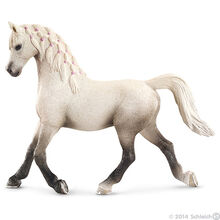 Arabian Mare 2014