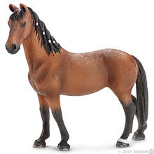 Trakehner Mare