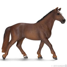 Hanoverian Mare