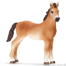 Tennesse Walker Yearling