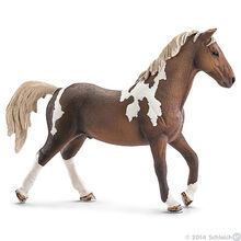 Trakehner Stallion