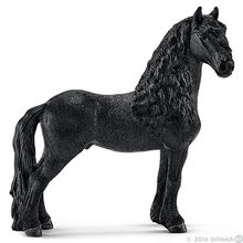 Frisian Stallion 2016