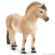 Fjord Stallion