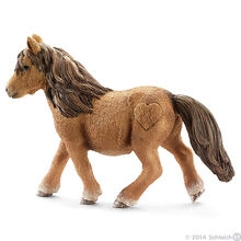 Shetland Mare