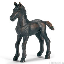 Frisian Foal