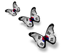 South-Korea-flag-butterflies