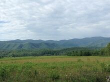 Image-1501525318