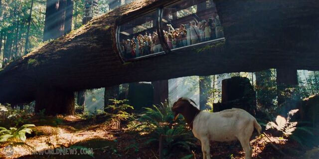 File:Tyrannosaurus Rex Kingdom.jpg