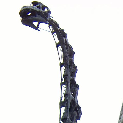 File:Brachiosaurus skeleton Cropped.jpg
