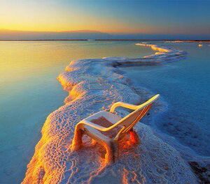 Bench-101-goog.jpg
