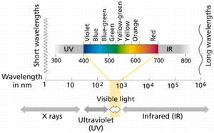 Electromagnetic-Spectrum-02-goog.gif