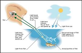 Refraction fish