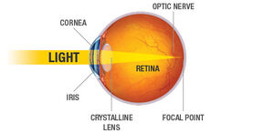 Eye-Optic-Ray-01-goog.jpg