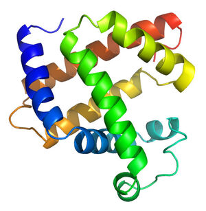 Proteins-04-goog.jpg