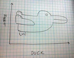 Dualities-Duck-Rabbit-01-goog