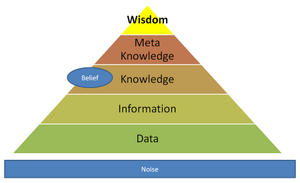 Data-Information-Wisdom-03-goog.png