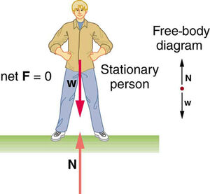 Observers-Stationary-01-goog.jpg