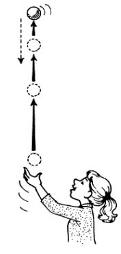 Motion-Straightline-04-goog (2).jpg