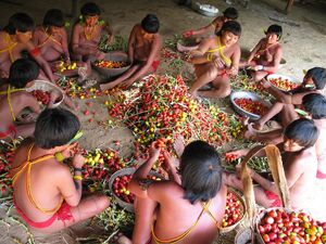 Food-Gathering-01-goog.jpg
