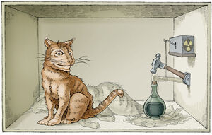 Schrodinger-Cat-03-goog