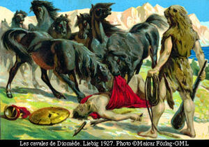 Hercules-Horses-goog.jpg