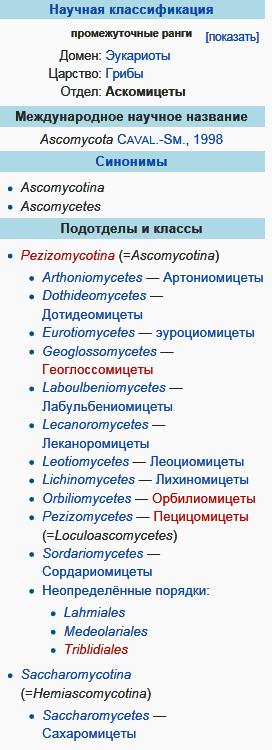Аскомицеты