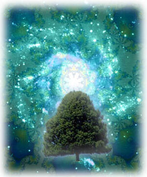 Immortality-02-goog.jpg