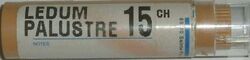 LedumPalustre15CH