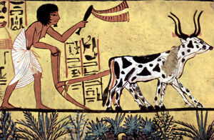 Agriculture-02-goog