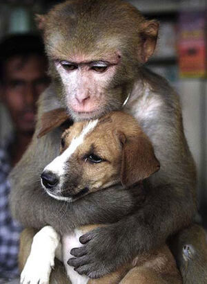 Love-01-goog.jpg