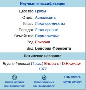 Бриория Фремонта