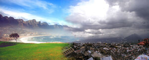 Future-Ecology-goog.jpg