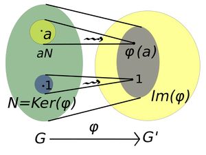 Homomorphism-01-goog.png