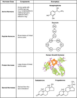 Hormones-01-goog.jpg