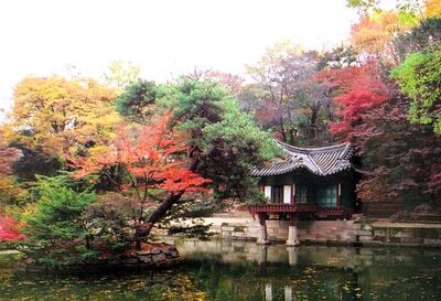 Korea-Seoul-Changdeokgung-31