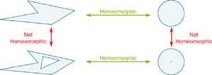 Homeomorphism-02-goog.png