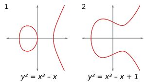 Functions-Polyonymic-01-goog