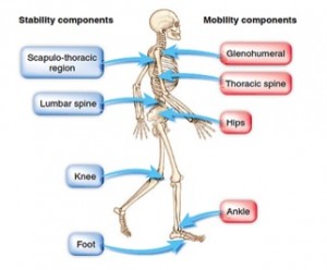 Stability-Mobility-01-goog.jpg