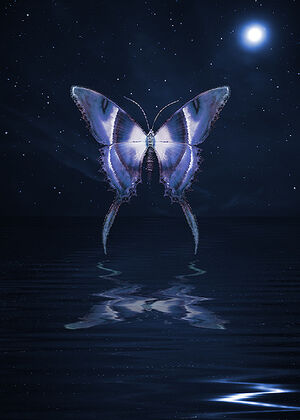 Dream-11-goog.jpg