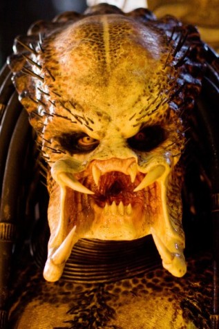 File:Classic Predators.jpg