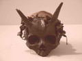 Thumbnail for version as of 18:14, February 21, 2012