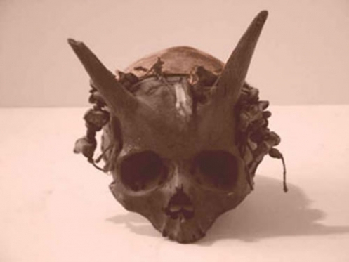 File:Horned Skull.png