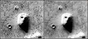Cydonia medianrp