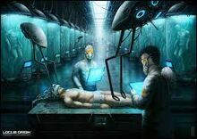 Images (2)-1