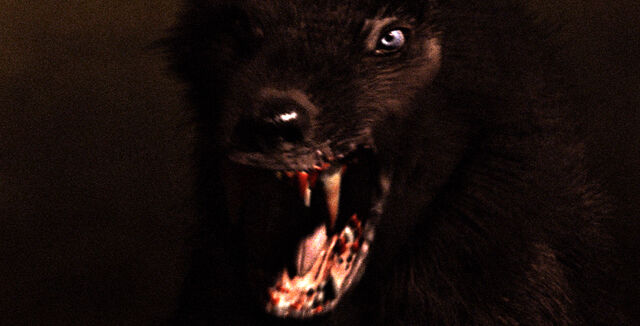 File:Monsterwolf.jpg