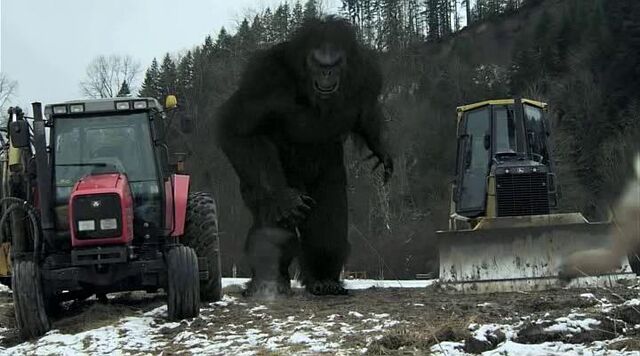 File:Bigfoot8.jpg
